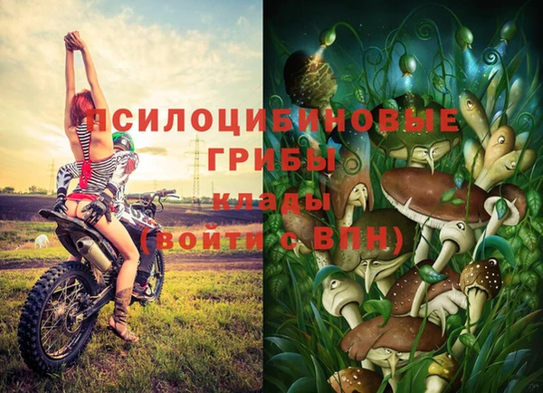 первитин Арсеньев