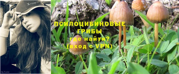 а пвп мука Армянск