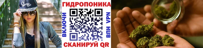 Купить закладки  Заводоуковск  Бошки Шишки Bruce Banner 